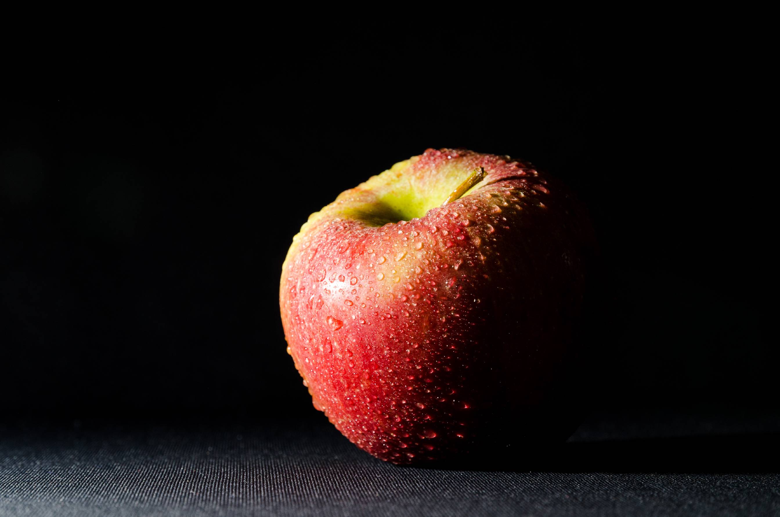 Simple but more resistant DIY aluminum foil reflector · Johannes Wienke