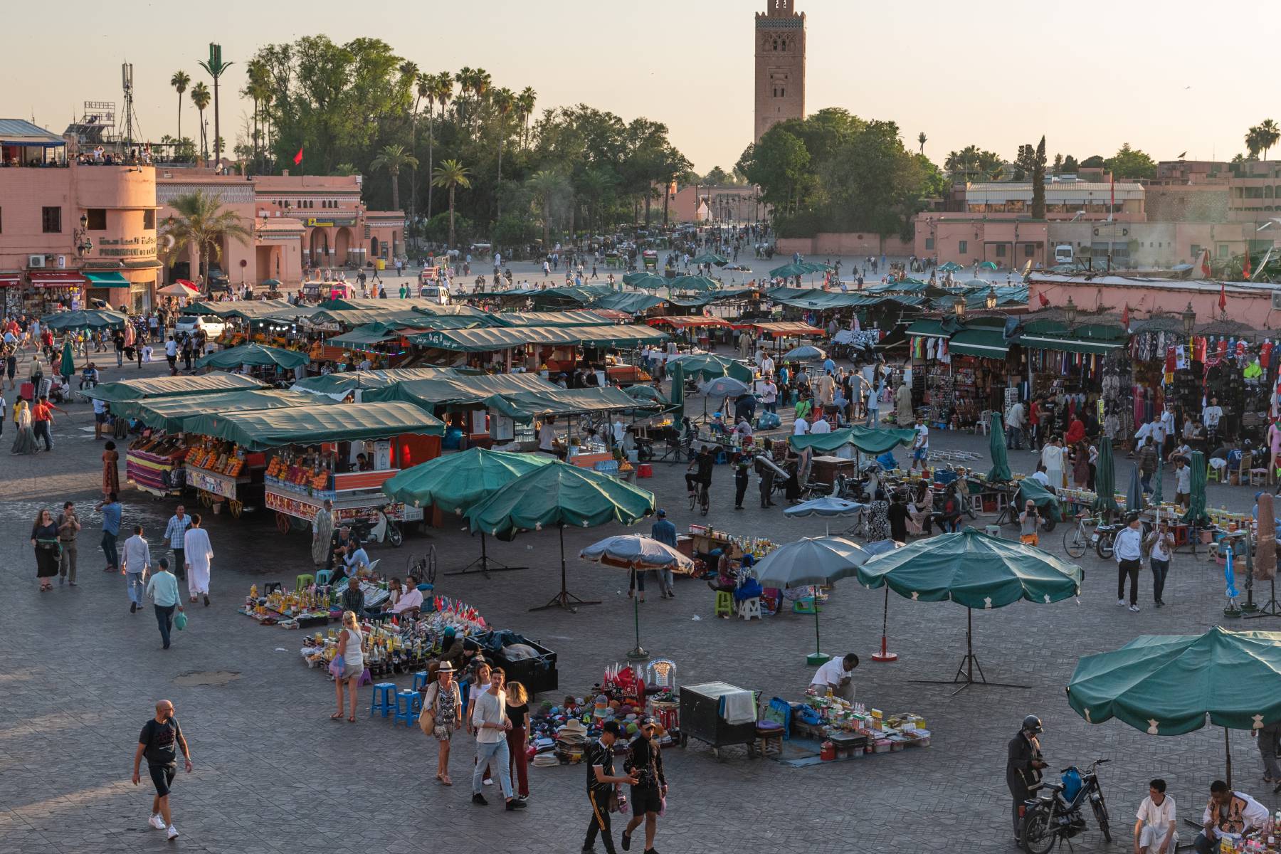 Banner image for the blog post Marrakesh & Essaouira