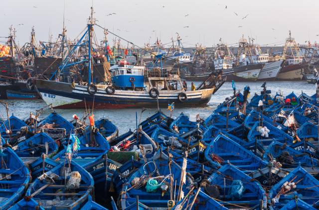 A fishing boat entering Essaouira harbor in the evening hours.